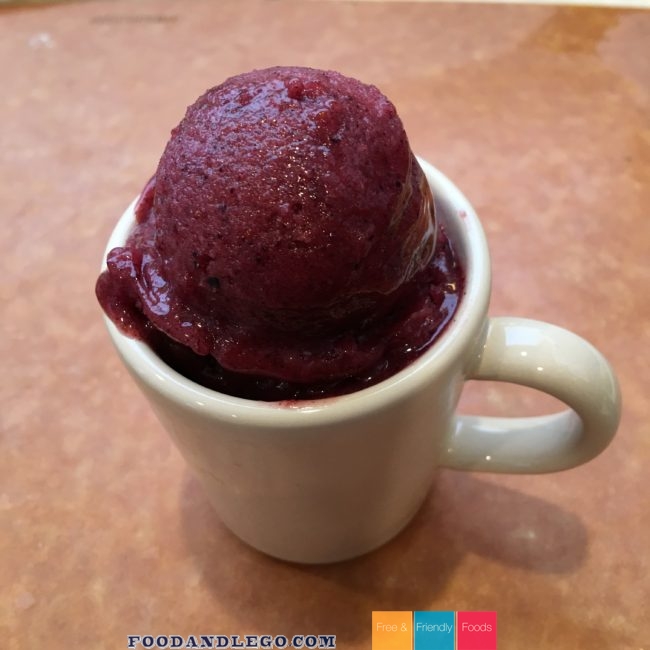 Free and Friendly Foods Nectarine Blueberry Sorbet