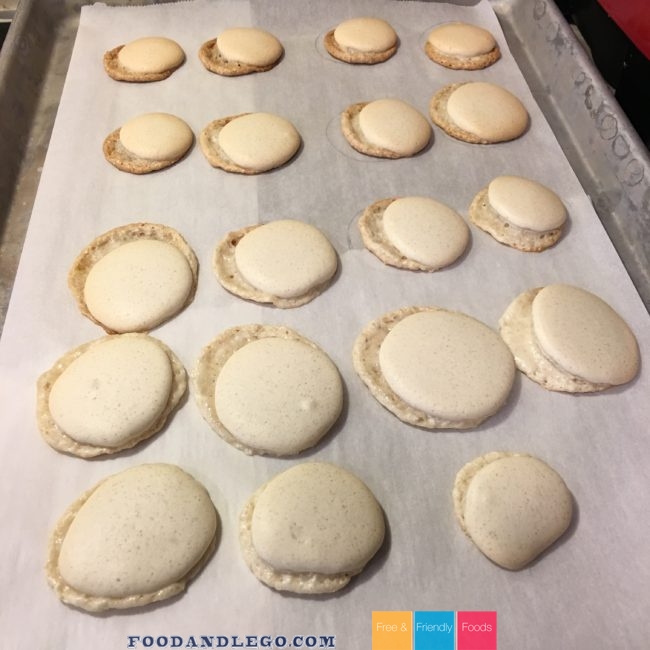 Free and Friendly Foods Vegan Macarons
