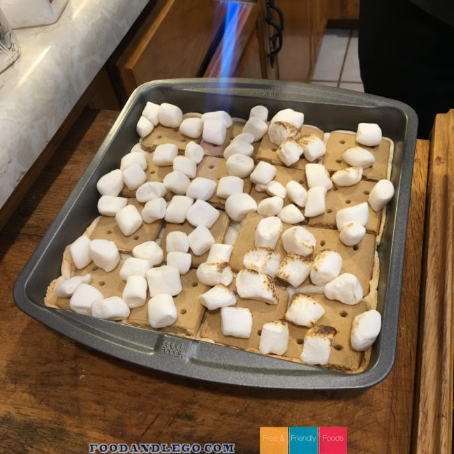 Free and Friendly Foods Smores Bars