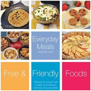 Everyday Meals Volume 1 by Free & Friendly Foods